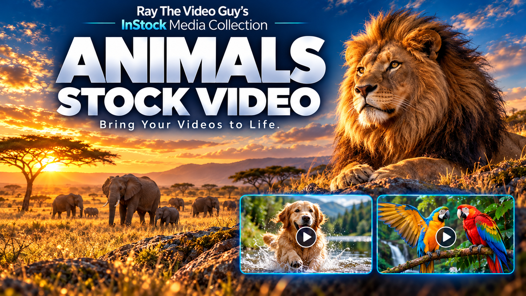 InStock Animal 4K Part 1